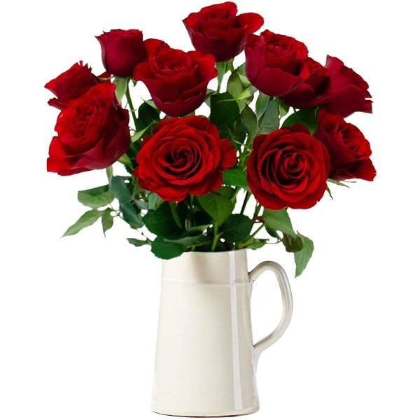 12 Red Roses - Image 4