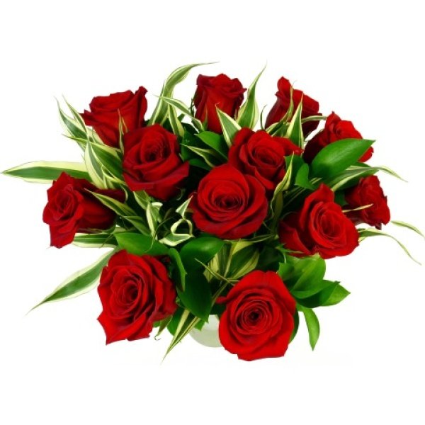 12 Red Roses - Image 3