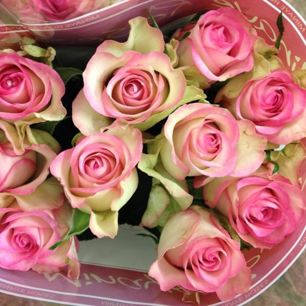 LaBelle Pink Roses Special Birthday Gifts - Image 2